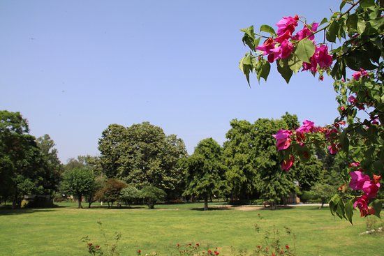 Nehru Rose Garden